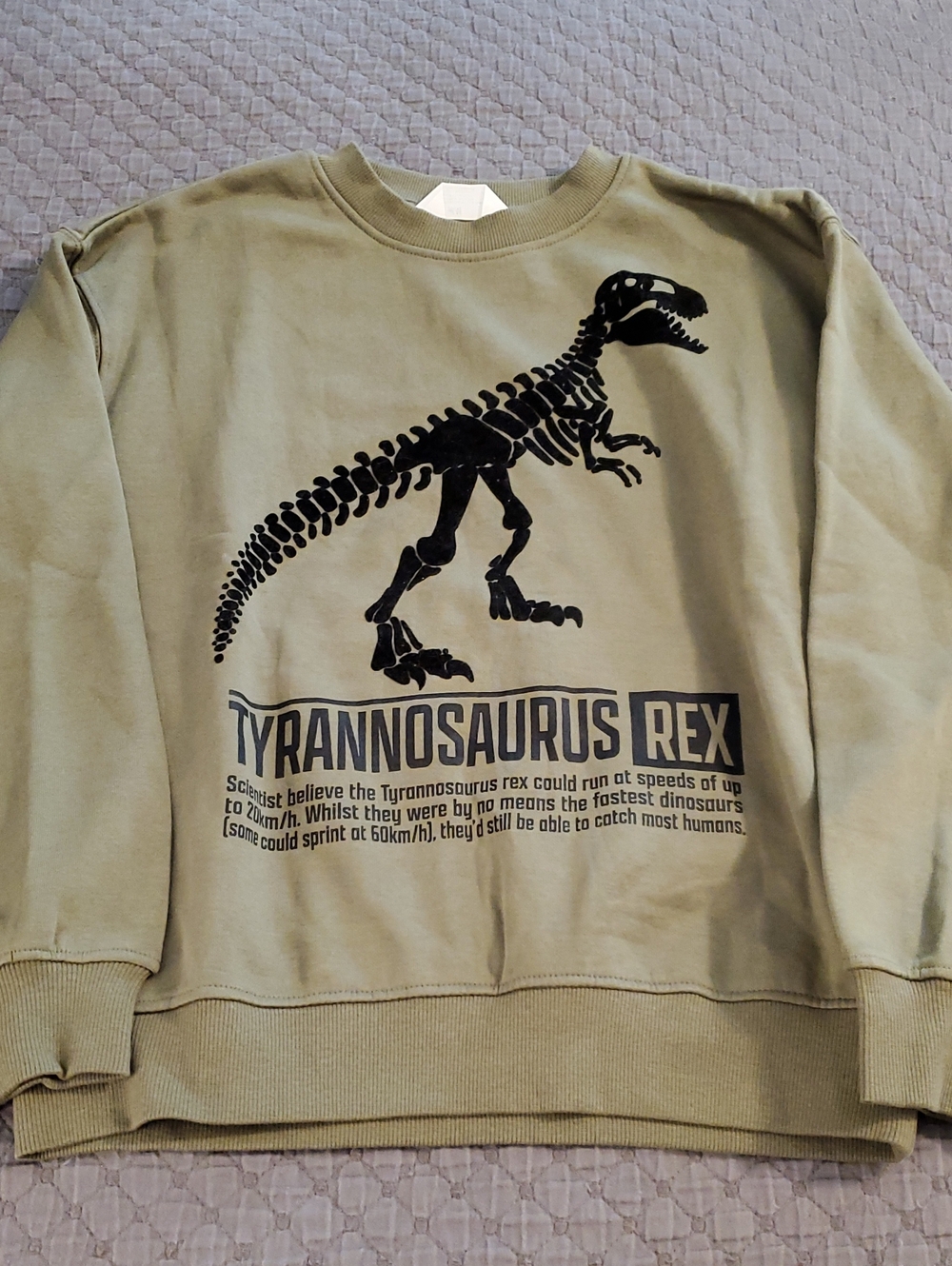 H&M Dinosaur Sweatshirt